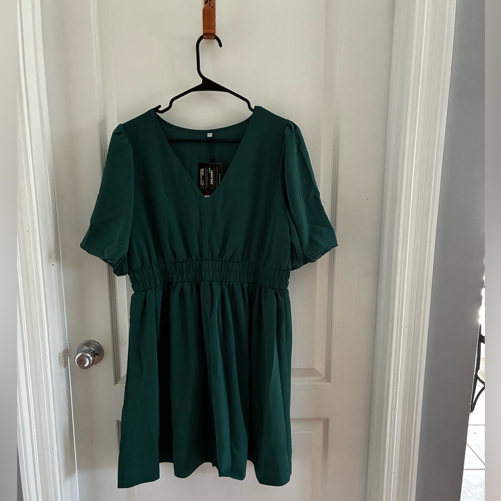 NWT Emerald green Skater dress Size Large